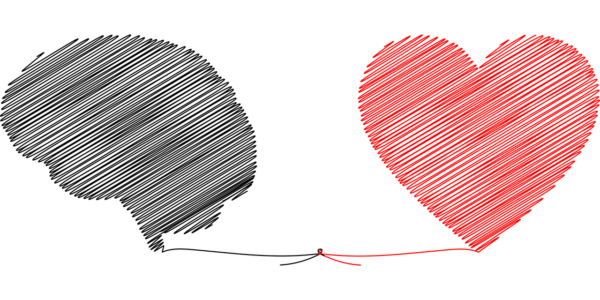 lien entre nos organes et nos émotions