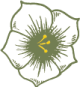 Cabinet Natureva icon